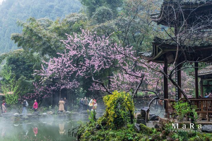 奢侈品在哪里可以鉴定真假？游戏画面