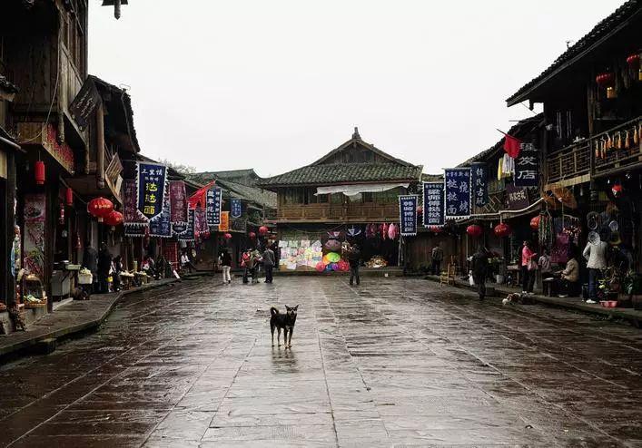 国产期刊“抱团取暖”,有方向还须有方法